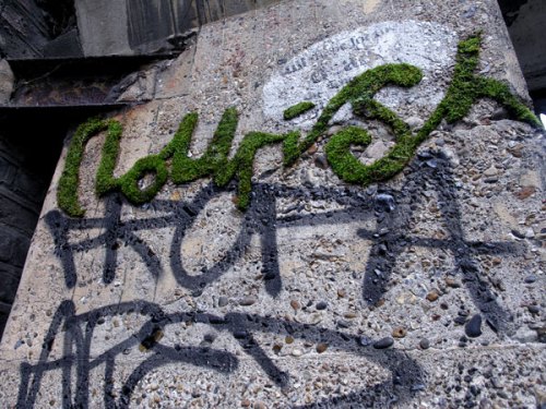 The Eco Graffiti